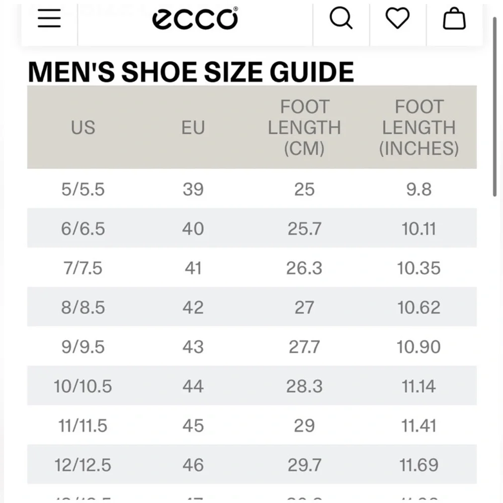 Ecco leather shoes